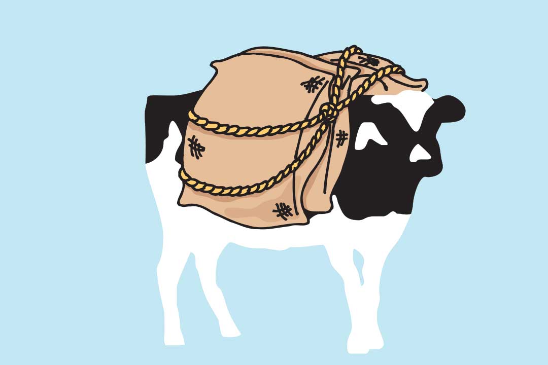 Woodie avec des sacs sur le dos