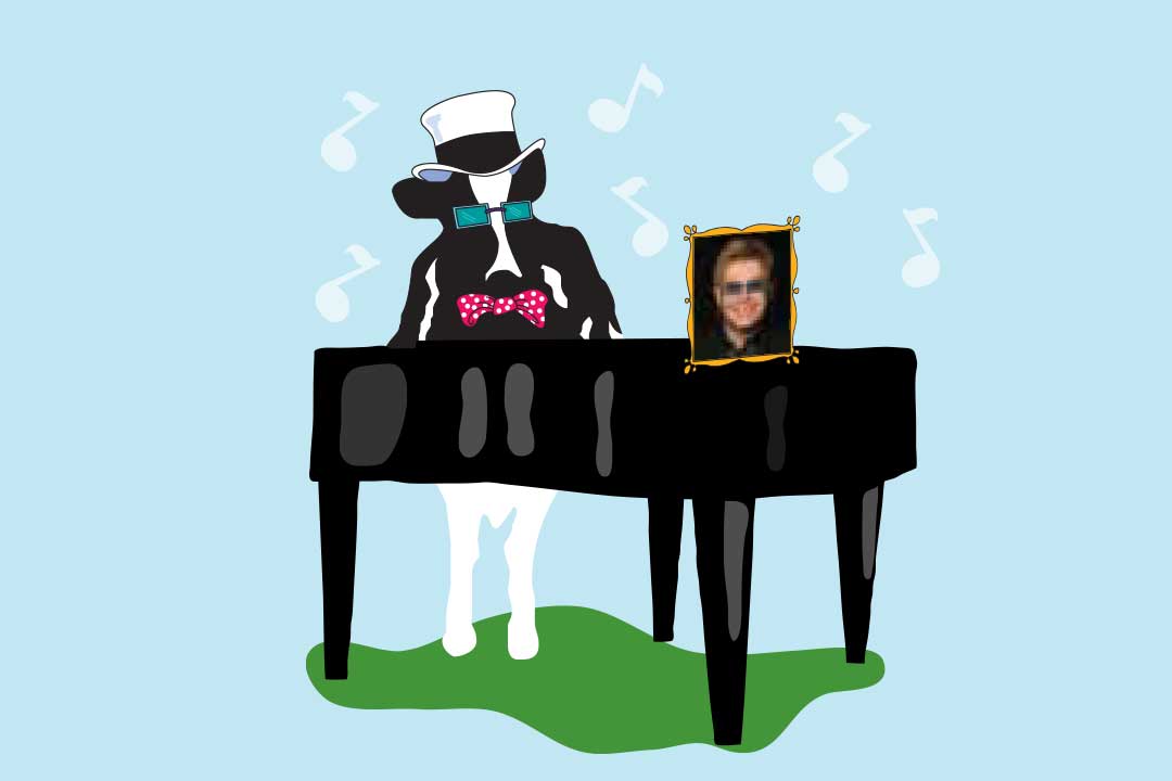 Woodie la vache avec un piano et une photo d’Elton John