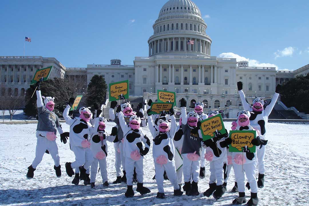 Des gens déguisés en costumes de vaches